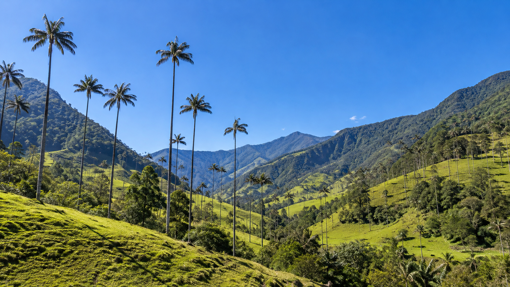 Descubre nuevos destinos con Tropica Travel